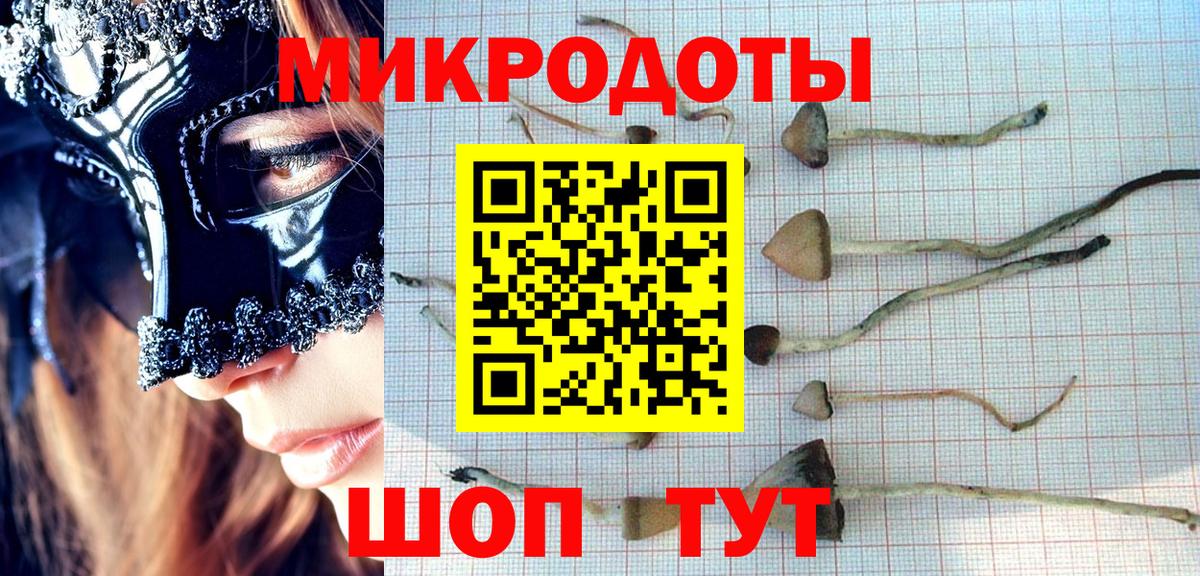 Псилоцибиновые грибы ЛСД Ставрополь